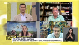 Imagem de Produo Fruta