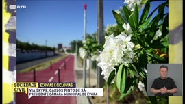 Imagem de Ecovias e Ciclovias