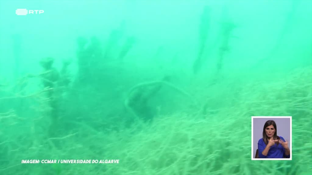 Imagem de Biosfera - Conservação de Espécies e Habitats