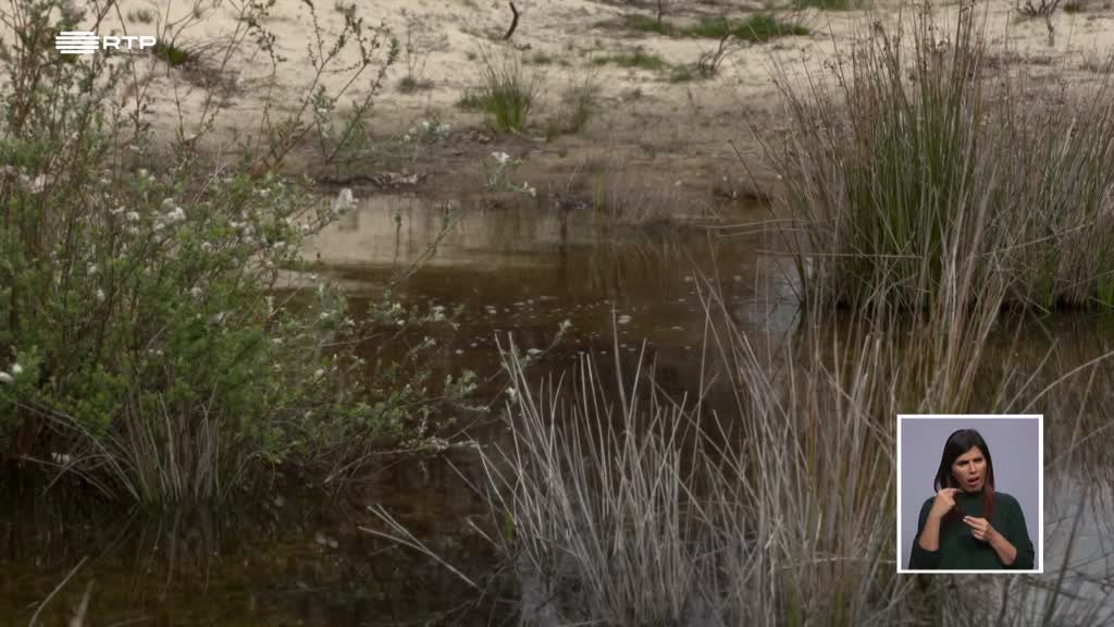 Imagem de Biosfera - Ação do Ser Humano no Planeta Terra