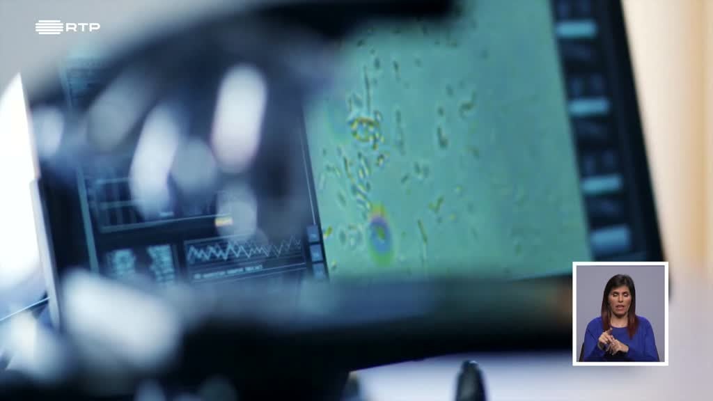 Imagem de Biosfera - Biodiversidade em Risco