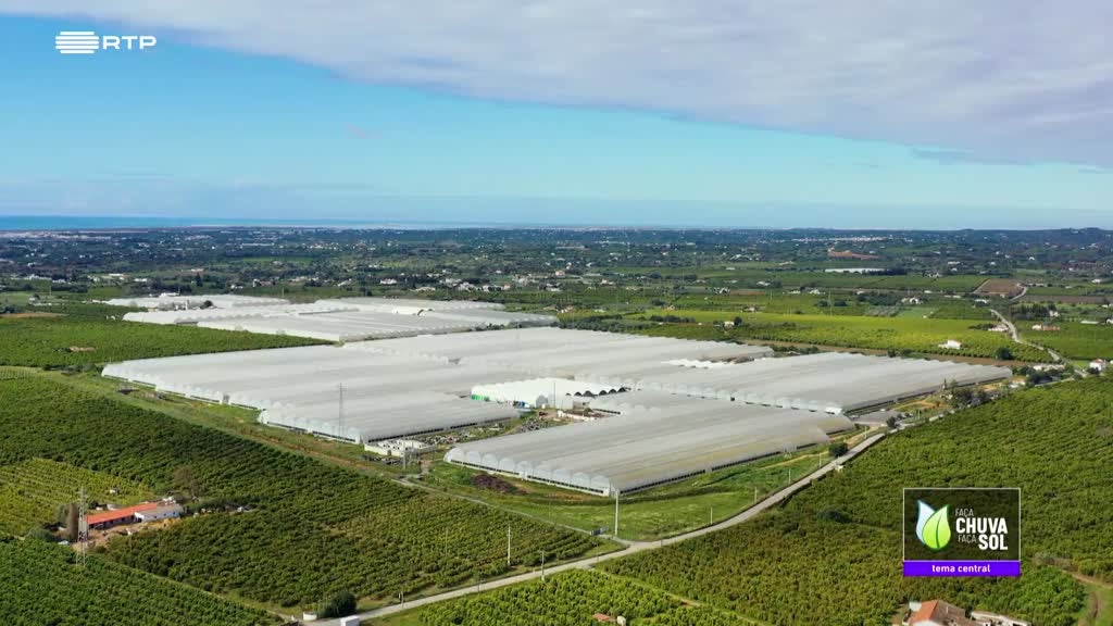 Imagem de Faça Chuva Faça Sol