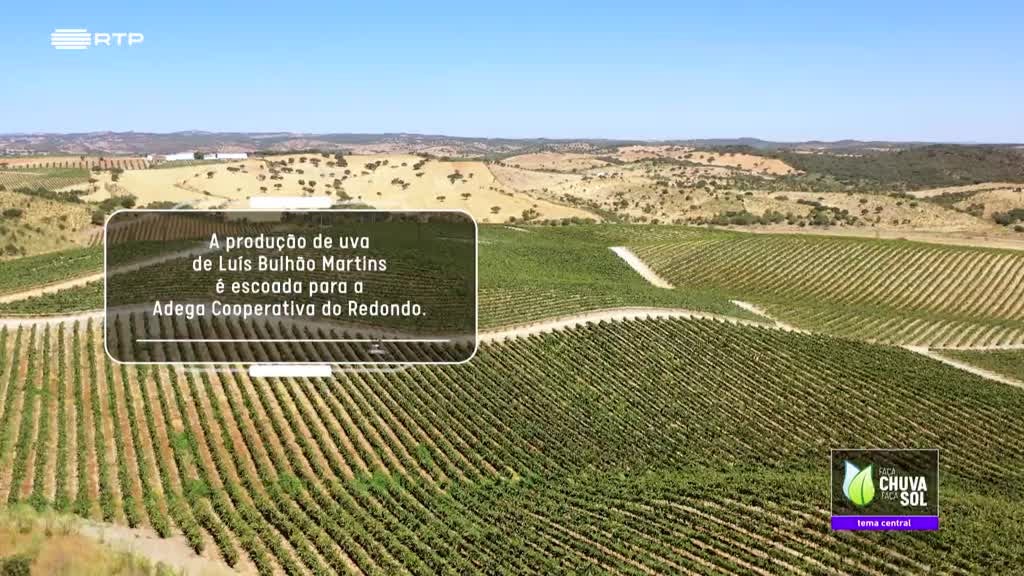 Imagem de Faça Chuva Faça Sol