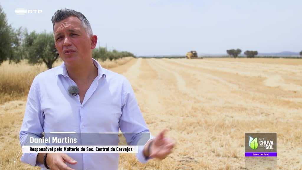 Imagem de Faça Chuva Faça Sol