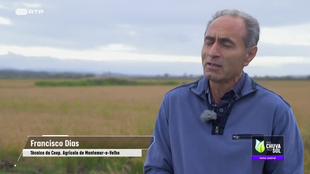 Imagem de Faça Chuva Faça Sol