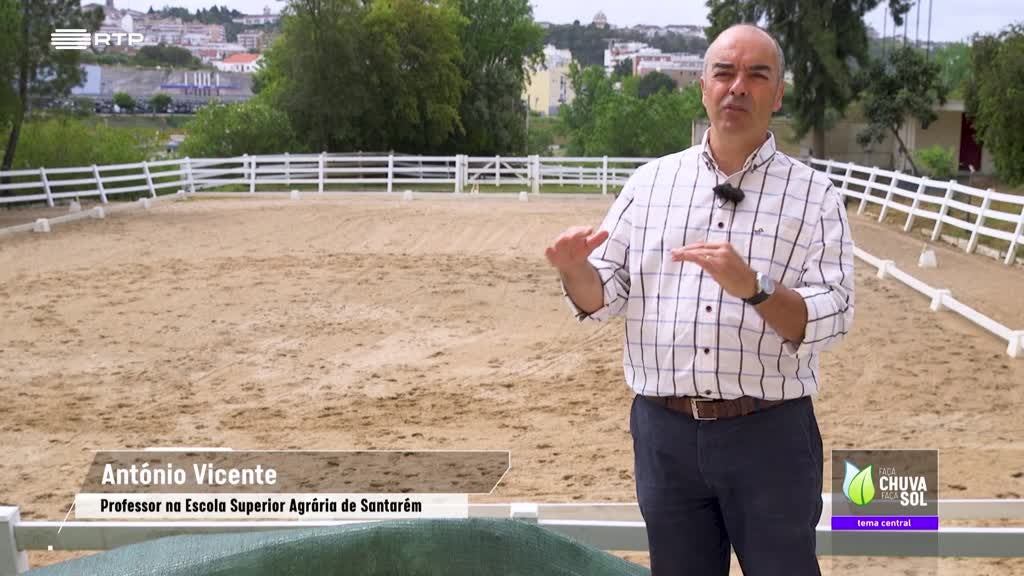 Imagem de Faça Chuva Faça Sol