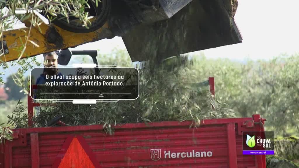 Imagem de Faça Chuva Faça Sol