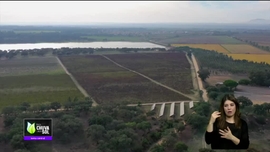 Imagem de Faça Chuva Faça Sol