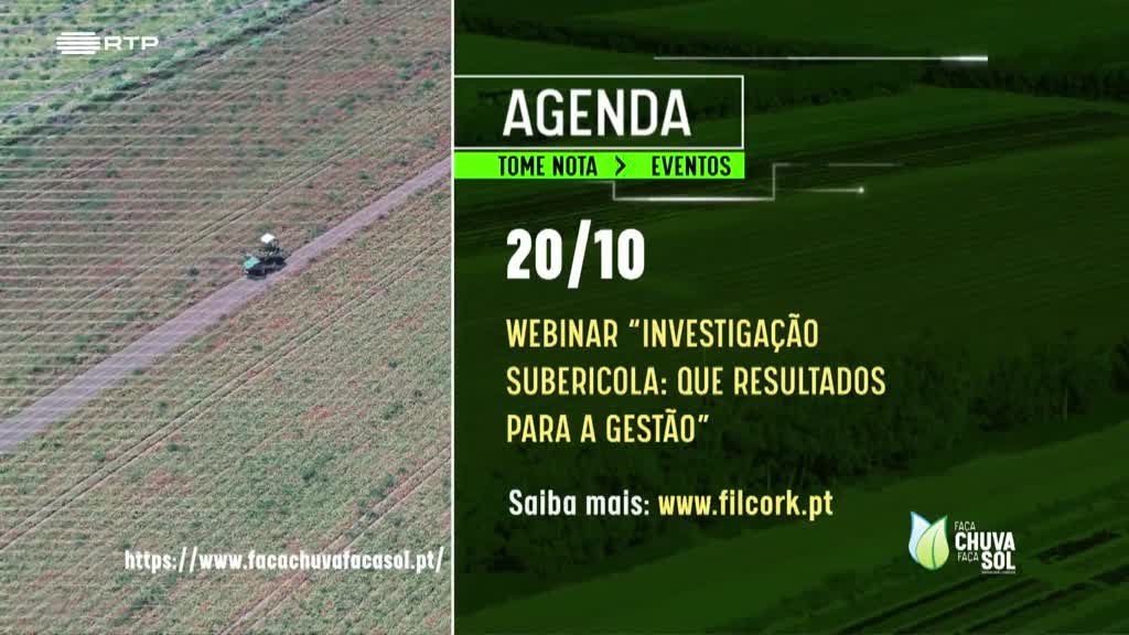 Imagem de Faça Chuva Faça Sol