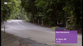 Imagem de Temos Programa