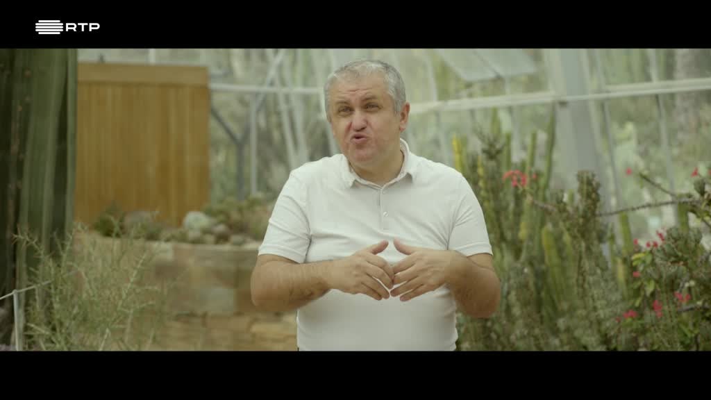 Imagem de Vírus - Parasitas Obrigatórios - Nada é Como Parece