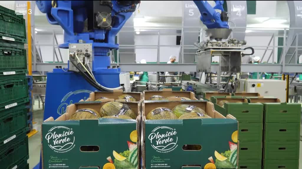 Imagem de Todas as Palavras