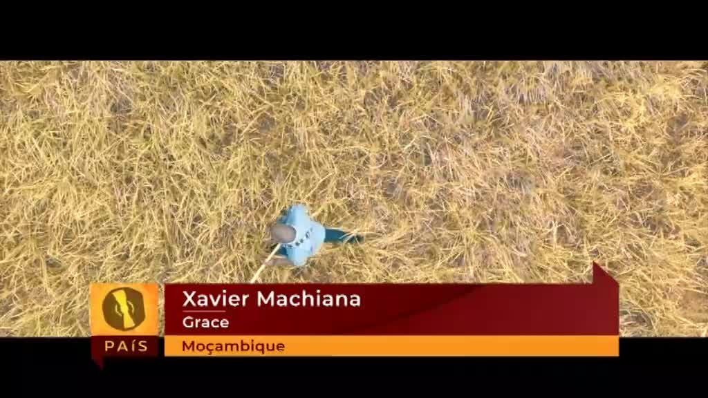 Imagem de Músicas d´África