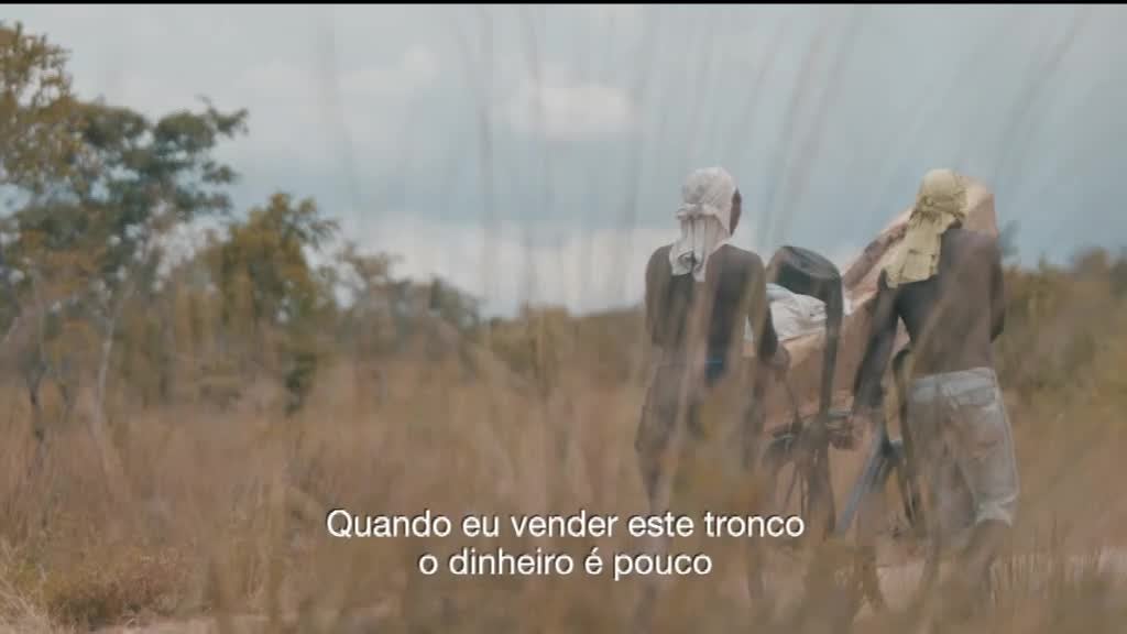 Imagem de Estamos na Estrada