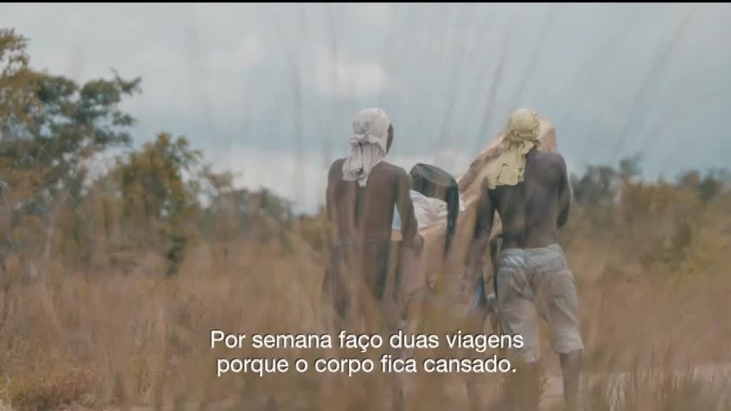 Imagem de Estamos na Estrada