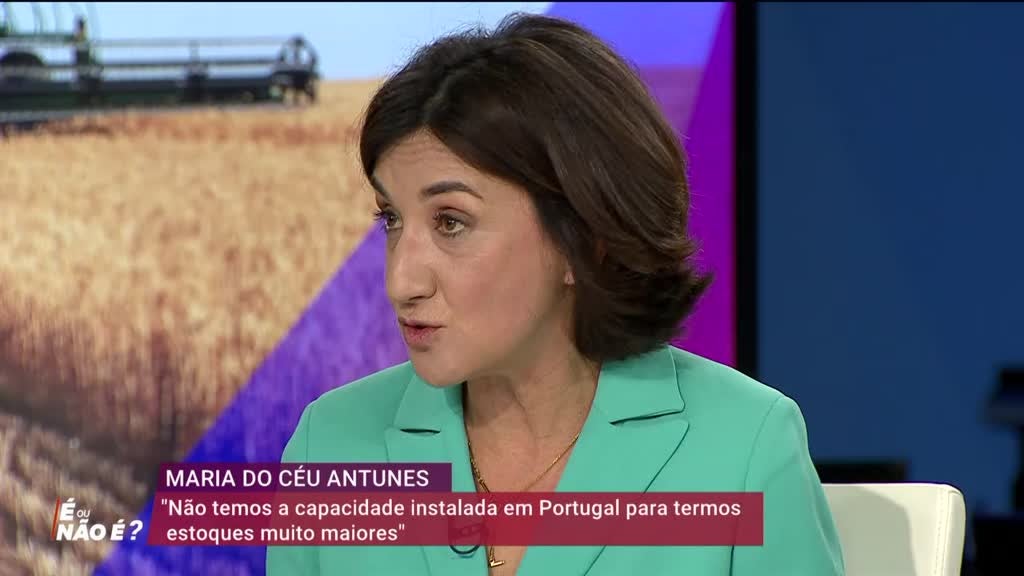 Imagem de Estamos Perante uma Crise Alimentar Global?