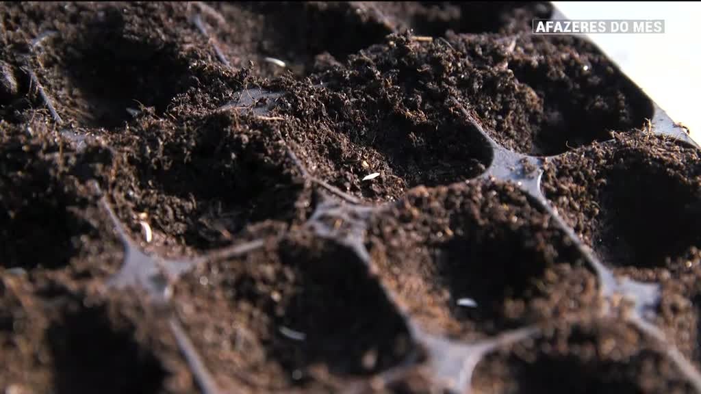 Imagem de Afazeres do Mês