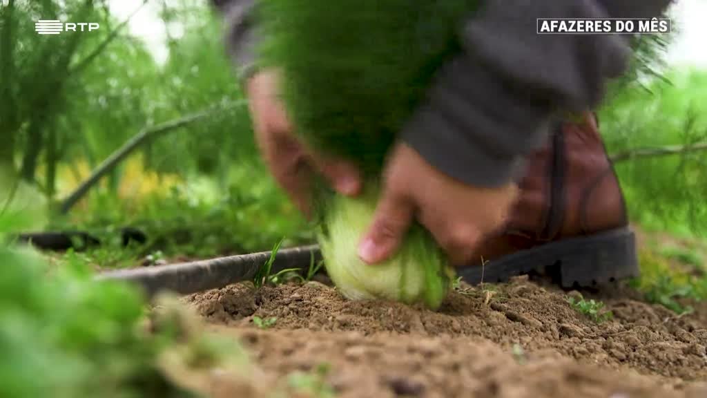 Imagem de Afazeres do Mês