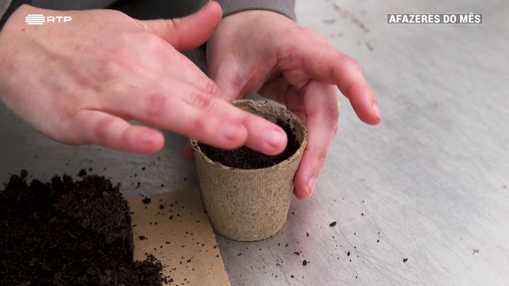 Imagem de Afazeres do Mês