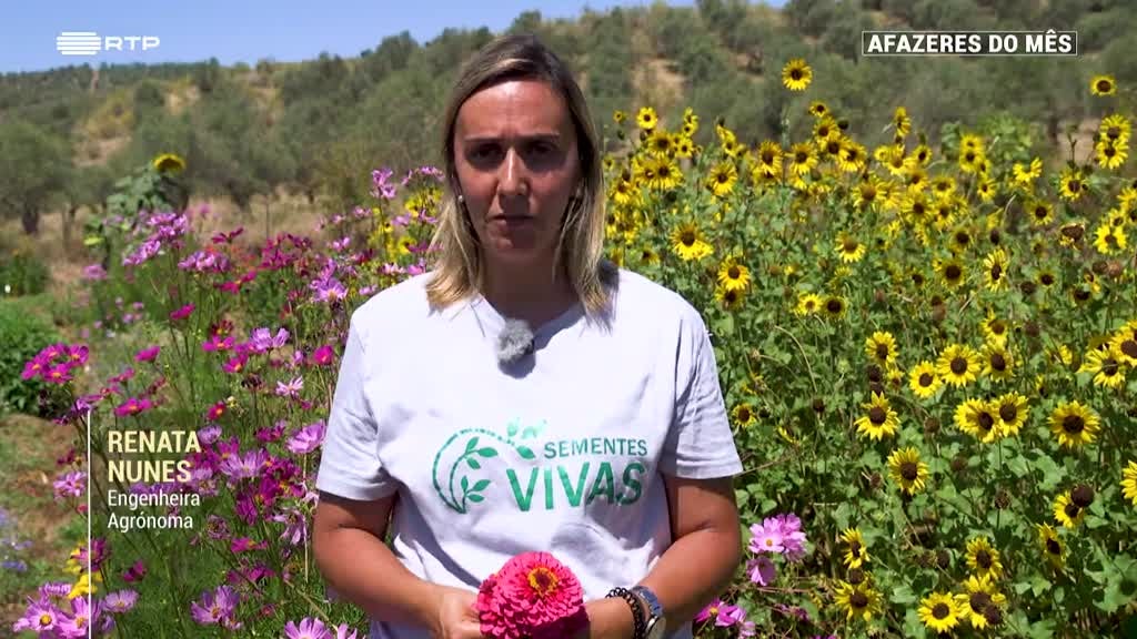 Imagem de Afazeres do Mês