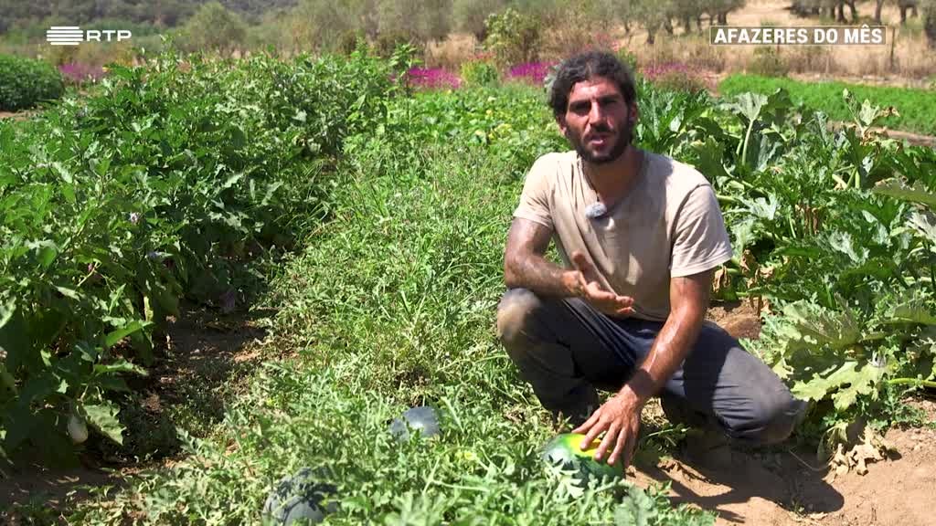 Imagem de Afazeres do Mês