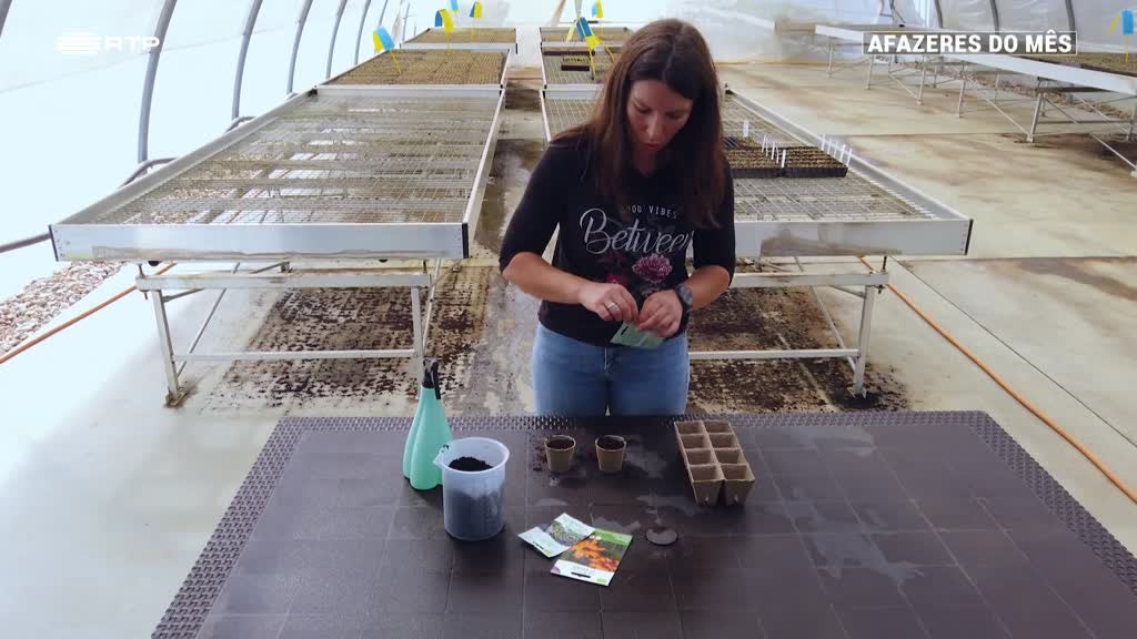 Imagem de Afazeres do Mês