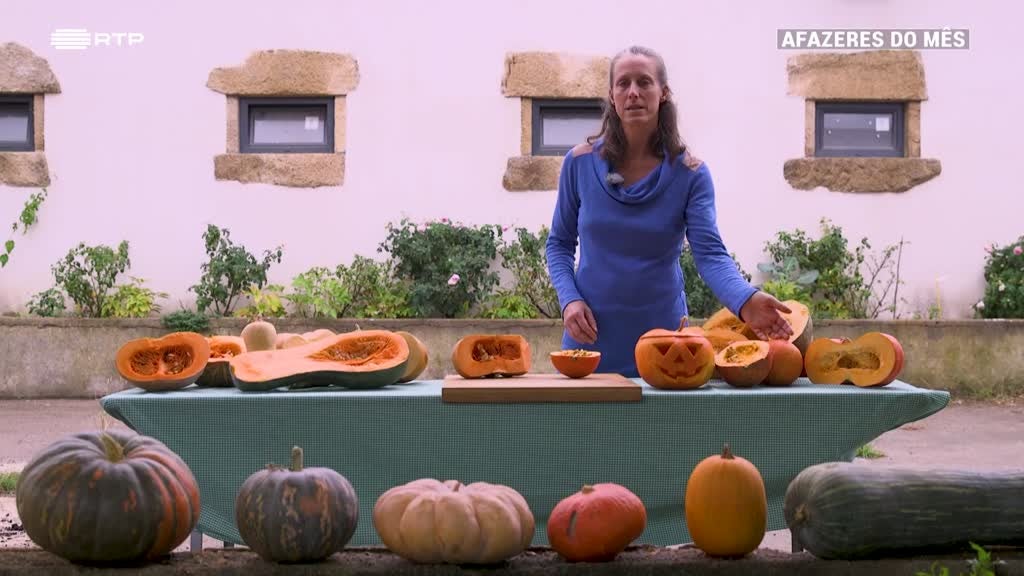 Imagem de Afazeres do Mês