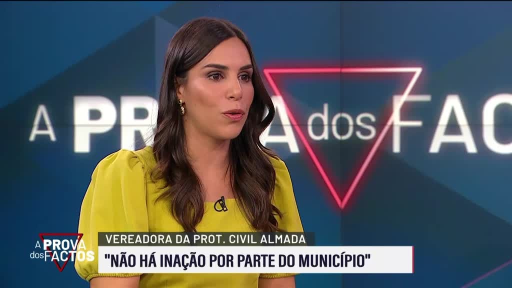 Imagem de A Prova dos Factos