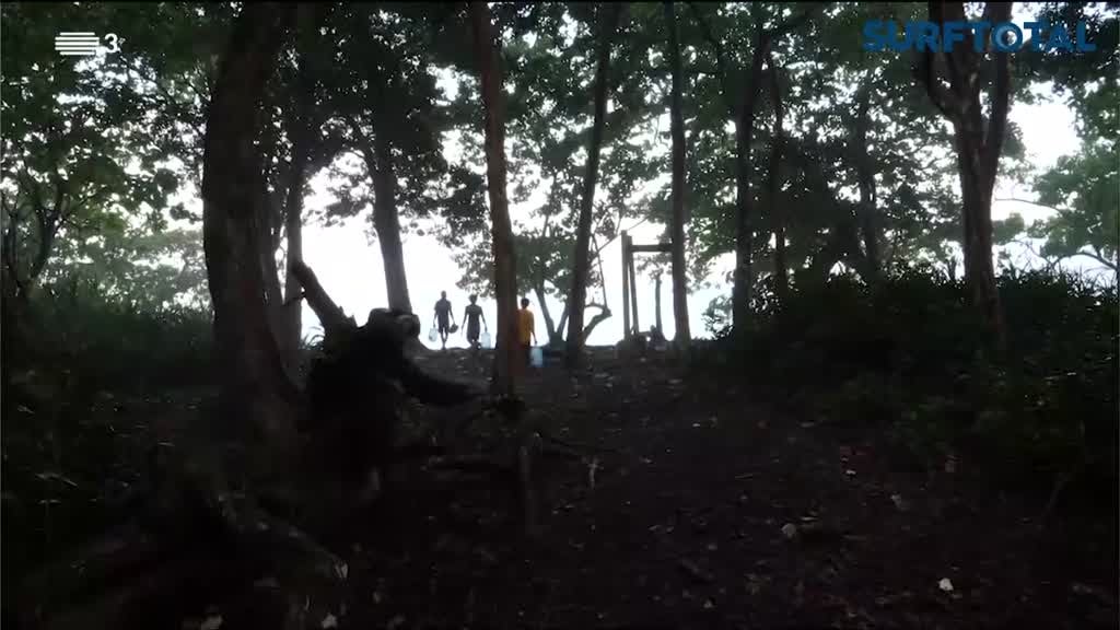 Imagem de Surf Total