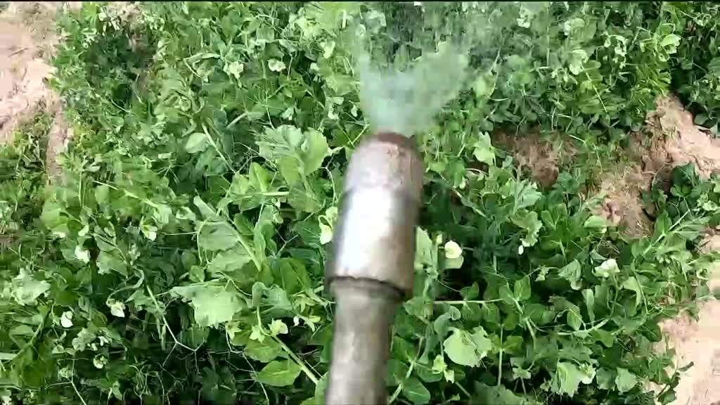 Imagem de Linha da Frente - Dose de Contágio - Parte 1