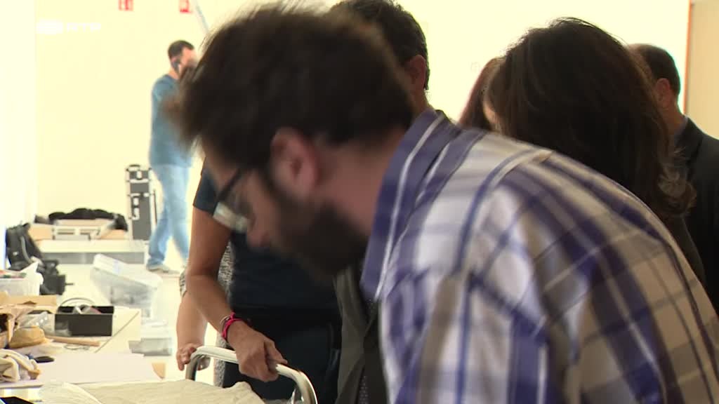 Imagem de Outras Histórias - Fuga Para a Paz, O Tesouro dos Reis, Hoje Vamos à Quinta