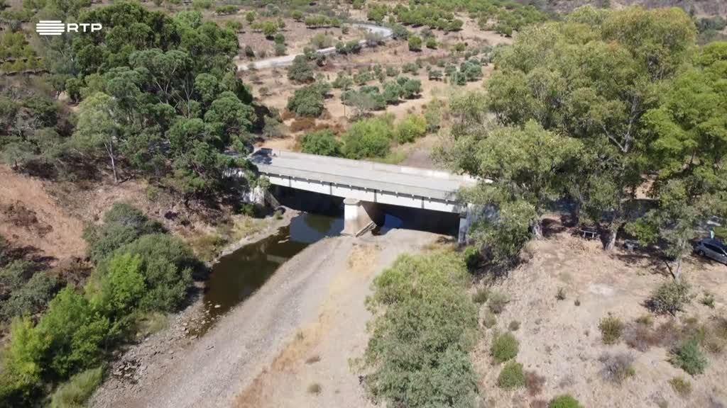 Imagem de Outras Histórias - Emoção de 4 Patas, Plantar Água, Luís, o Engenhocas