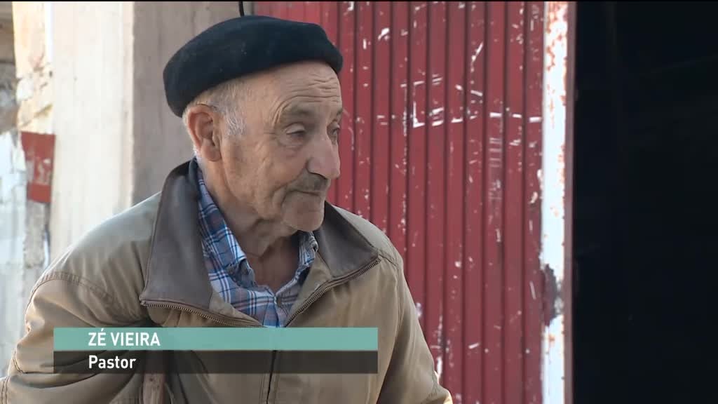 Imagem de Outras Histórias - Seleção Nacional, A Aldeia Pintada, À Descoberta de Cobras e Lagartos