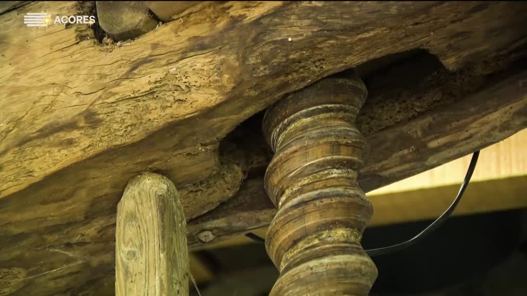 Imagem de Histórias da Terra e da Gente (Temporad