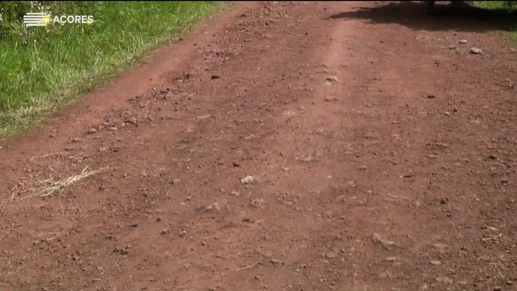 Imagem de Histórias da Terra e da Gente (Temporad