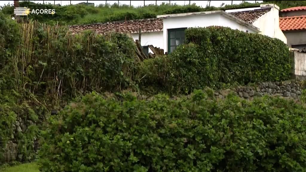 Imagem de Histórias da Terra e da Gente (Temporad