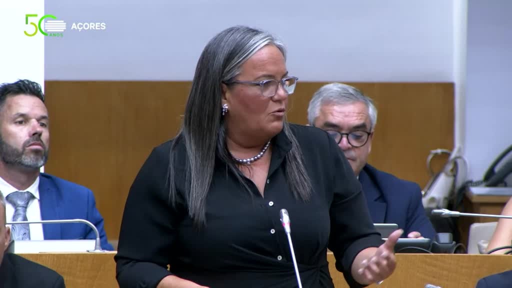 Imagem de Parlamento Açores - Petições em debate no Parlamento