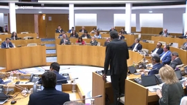 Imagem de Peties em debate no Parlamento