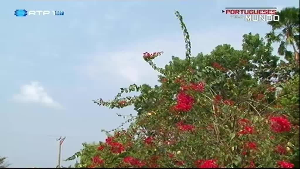 Imagem do Programa / Episiódio - Portugueses Pelo Mundo - São Tomé