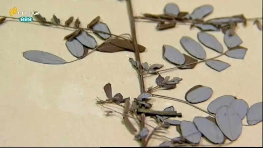 Imagem do Programa / Episiódio - República do Saber