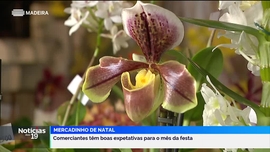 Imagem de Notcias das 19 (Madeira)