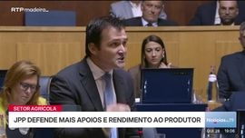 Imagem de Not�cias das 19 (Madeira)