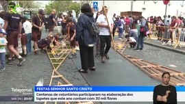 Imagem de Apresentação | Berta Tavares