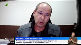 Imagem de Apresentao | Dulce Vieira