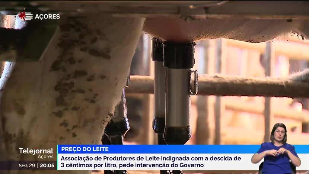 Imagem de Telejornal Açores - Apresentação | Beatriz Terra