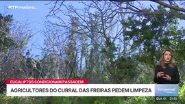 Imagem de Telejornal Madeira