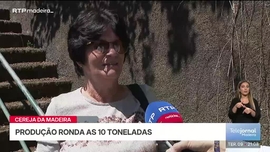 Imagem de Telejornal Madeira