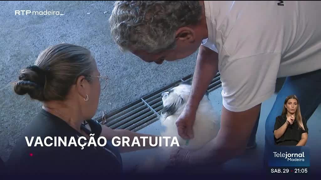 Imagem de Telejornal Madeira