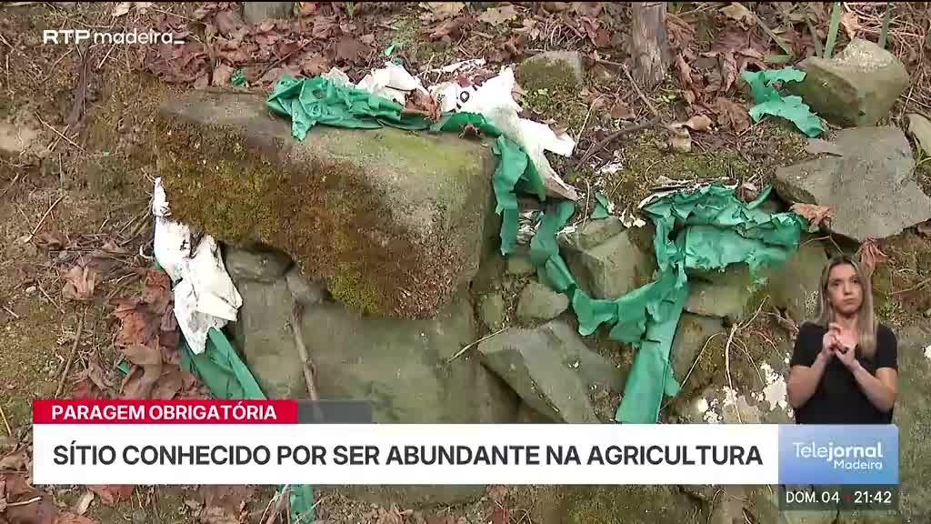 Imagem de Telejornal Madeira