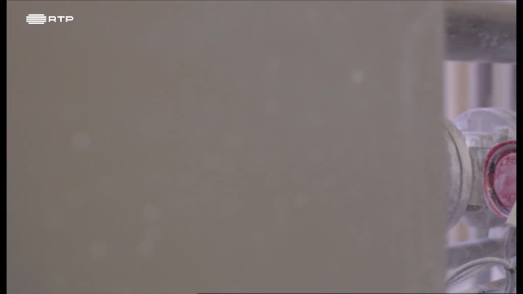 Imagem de Tintim Por Tintim - Tinta